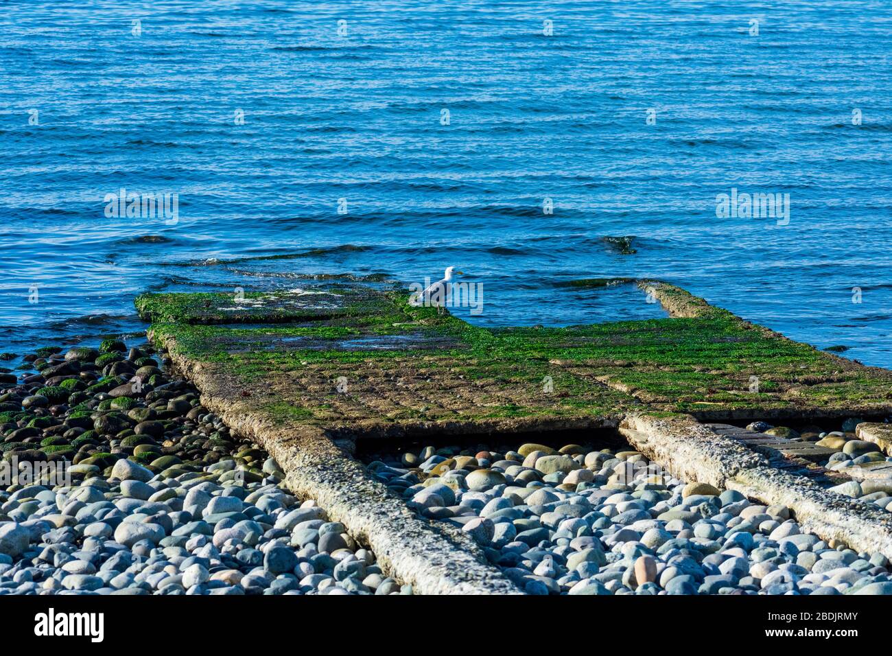 Journée de printemps ensoleillée sur une plage de l'île de Whidbey Banque D'Images