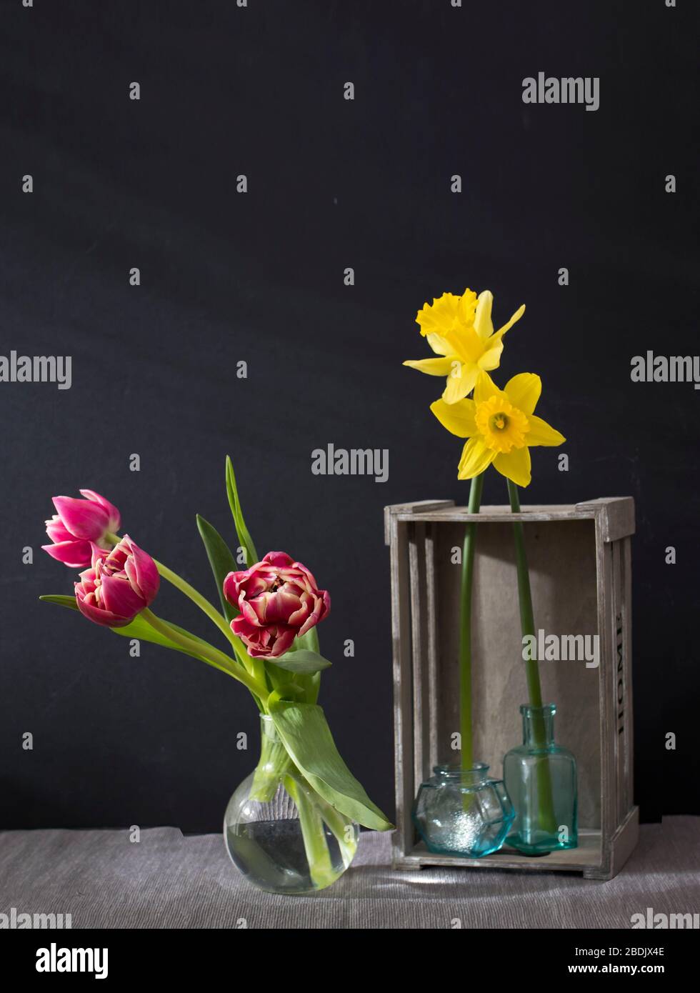 les narcissus dans une boîte en bois gris inversé décorative, trois tulipes dans le vase et vider de petites bouteilles sur un fond noir. Espace de copie Banque D'Images