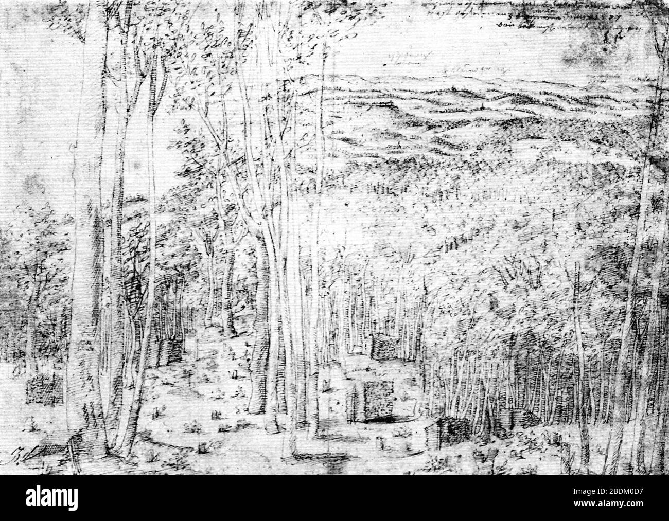 H steiner zug. - Blick vom Reichenberger Forst FedZeich.lav. 1577 (ZaWH07). Banque D'Images