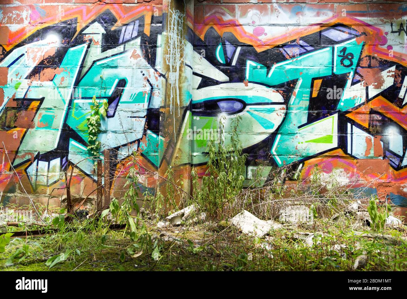 Graffitis granal vif surcultivé avec des mauvaises herbes. Banque D'Images