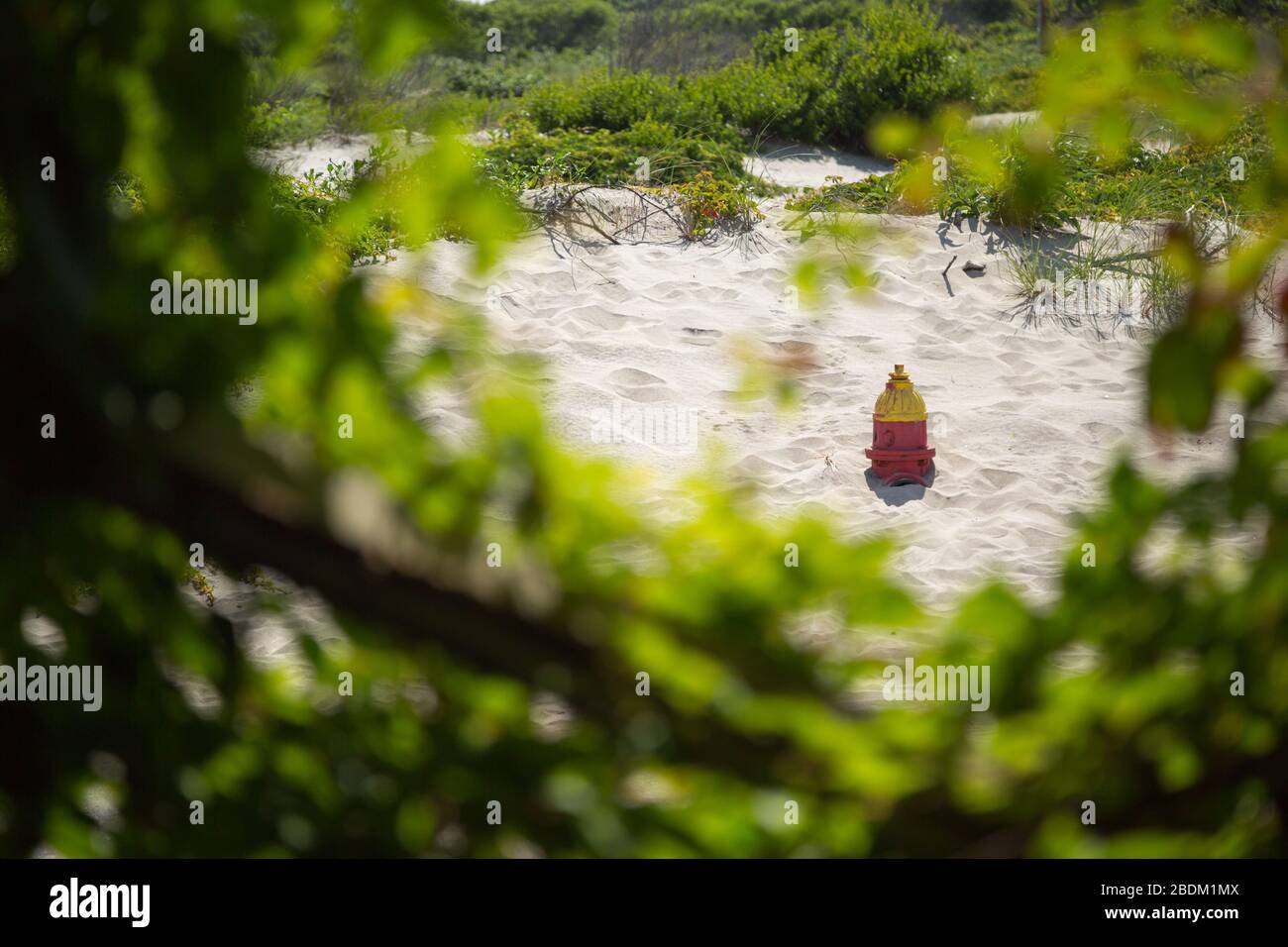 Les niveaux de la mer et les mauvaises tempêtes qui montent laissent cette borne incendie enterrée dans le sable. Banque D'Images