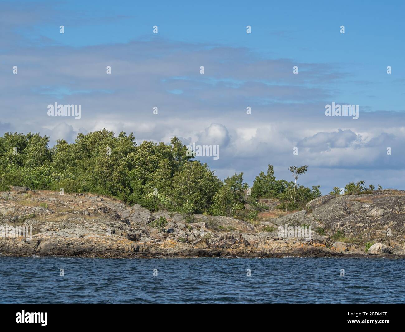 Le bouleau et d'autres arbres poussent sous un ciel nuageux sur un îlot rocheux dans la mer Baltique Banque D'Images