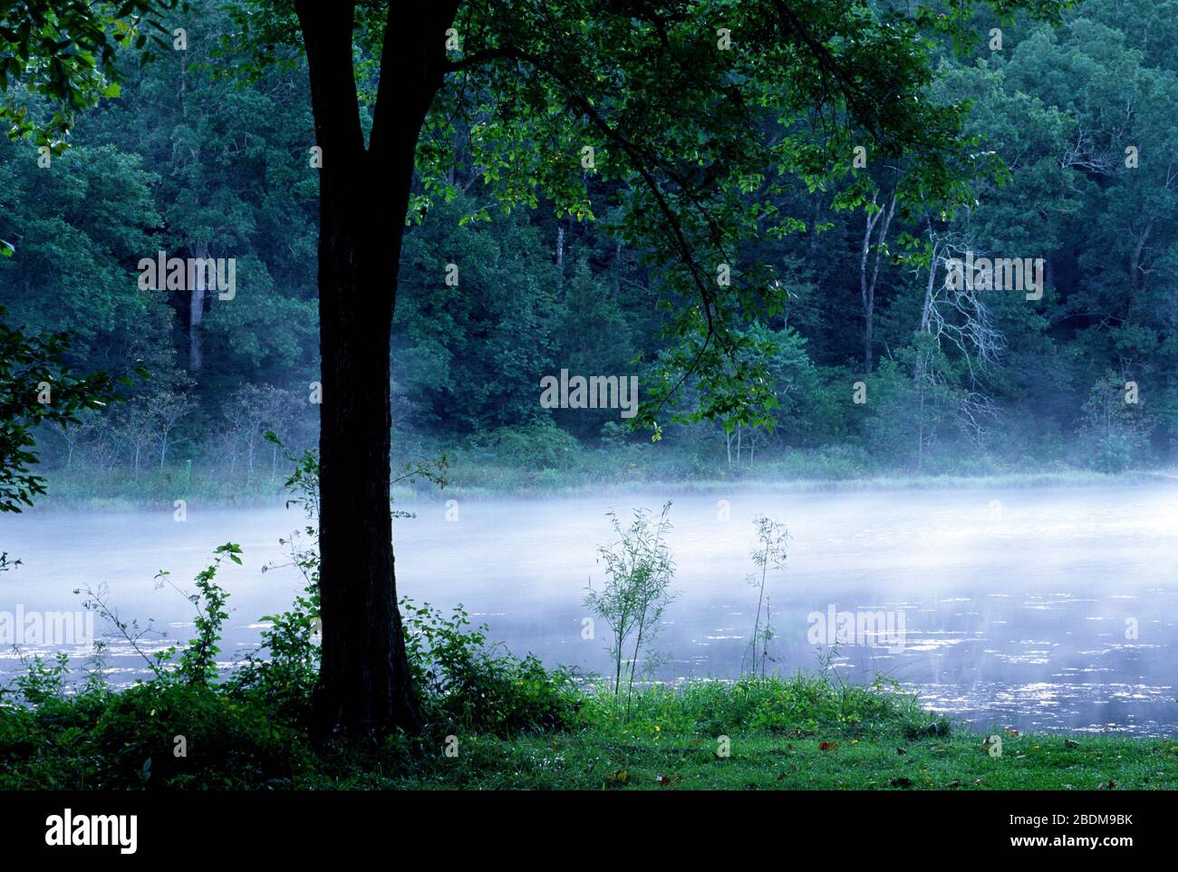 Lac McCormack, forêt nationale Mark Twain, Missouri Banque D'Images