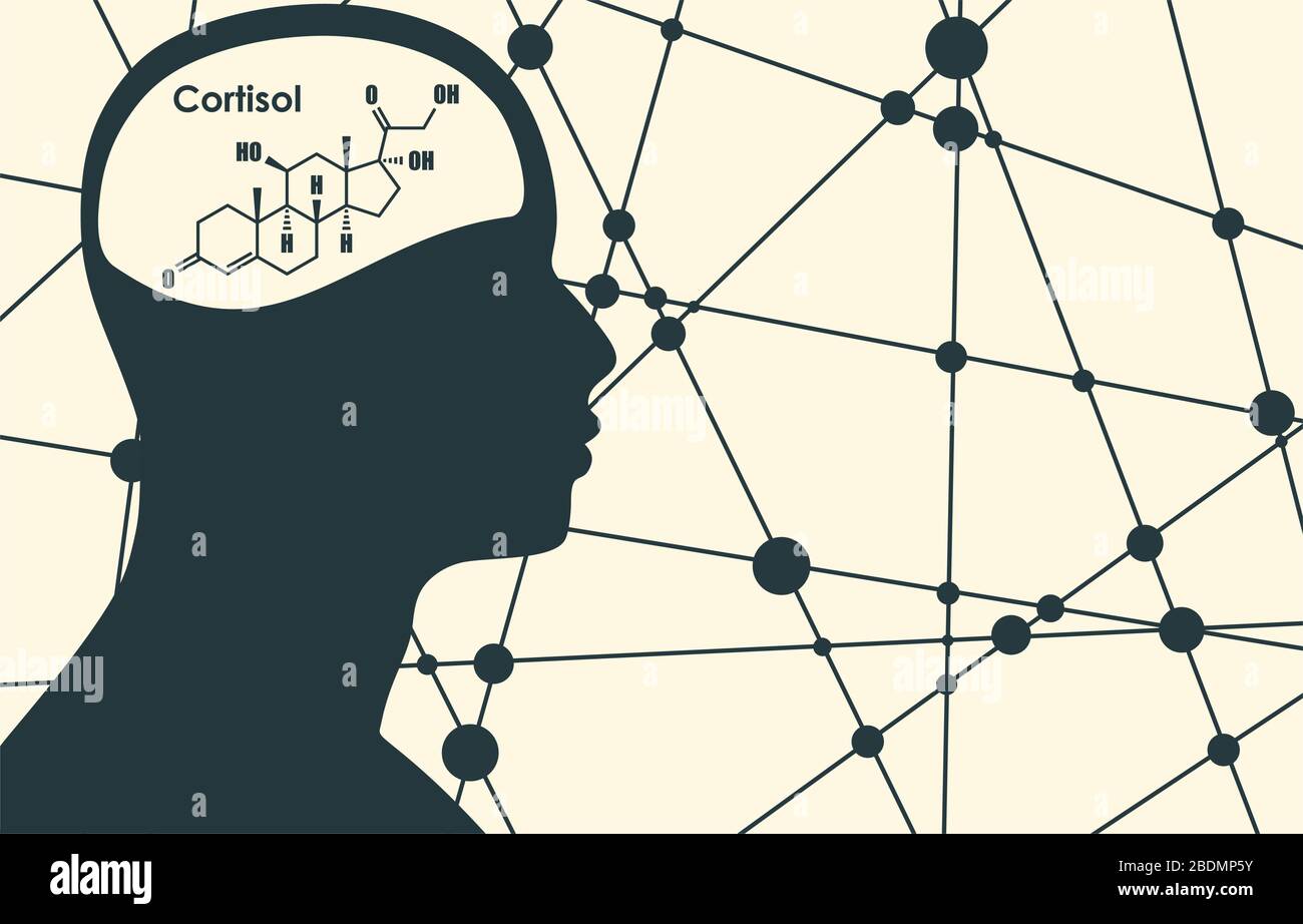 Corticoïde hormone cortisol Illustration de Vecteur