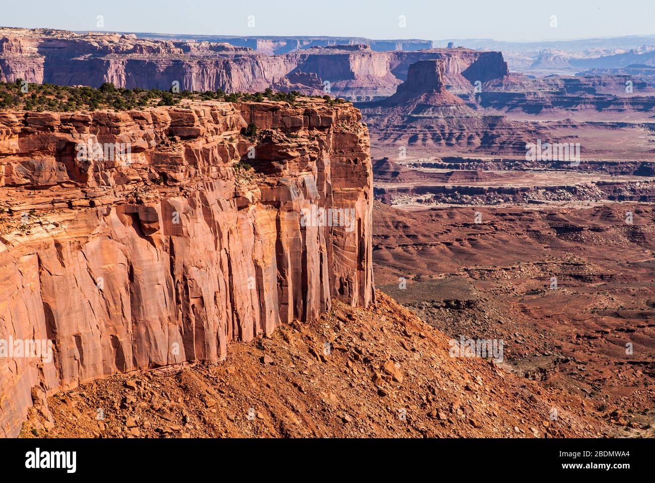 Vue sur Canyonlands depuis l'île dans le Sky District du parc national de Canyonlands, Utah, États-Unis. Banque D'Images