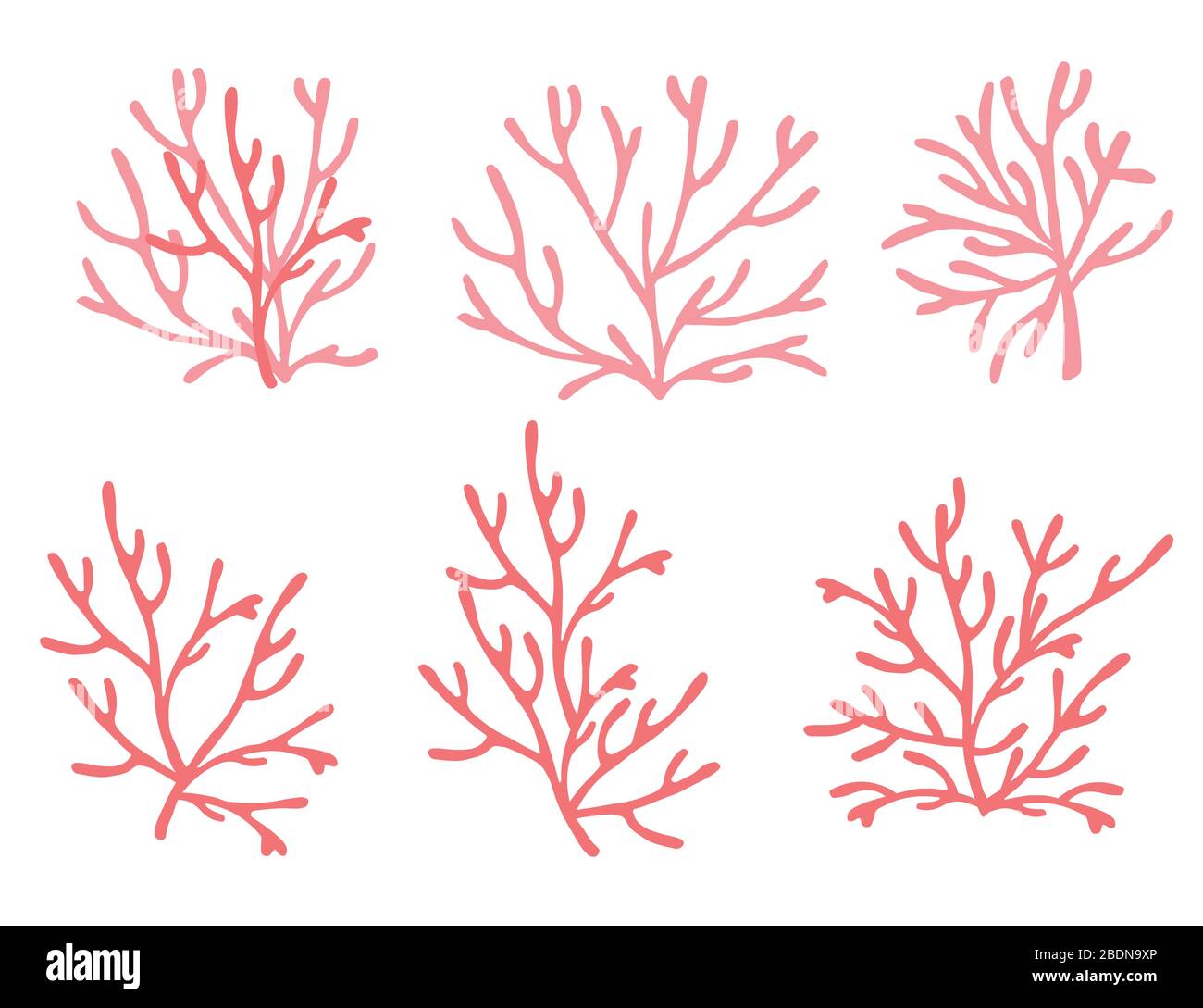 Ensemble d'algues roses sous-marines plantes océaniques éléments de corail de mer illustration vectorielle plate sur fond blanc Illustration de Vecteur