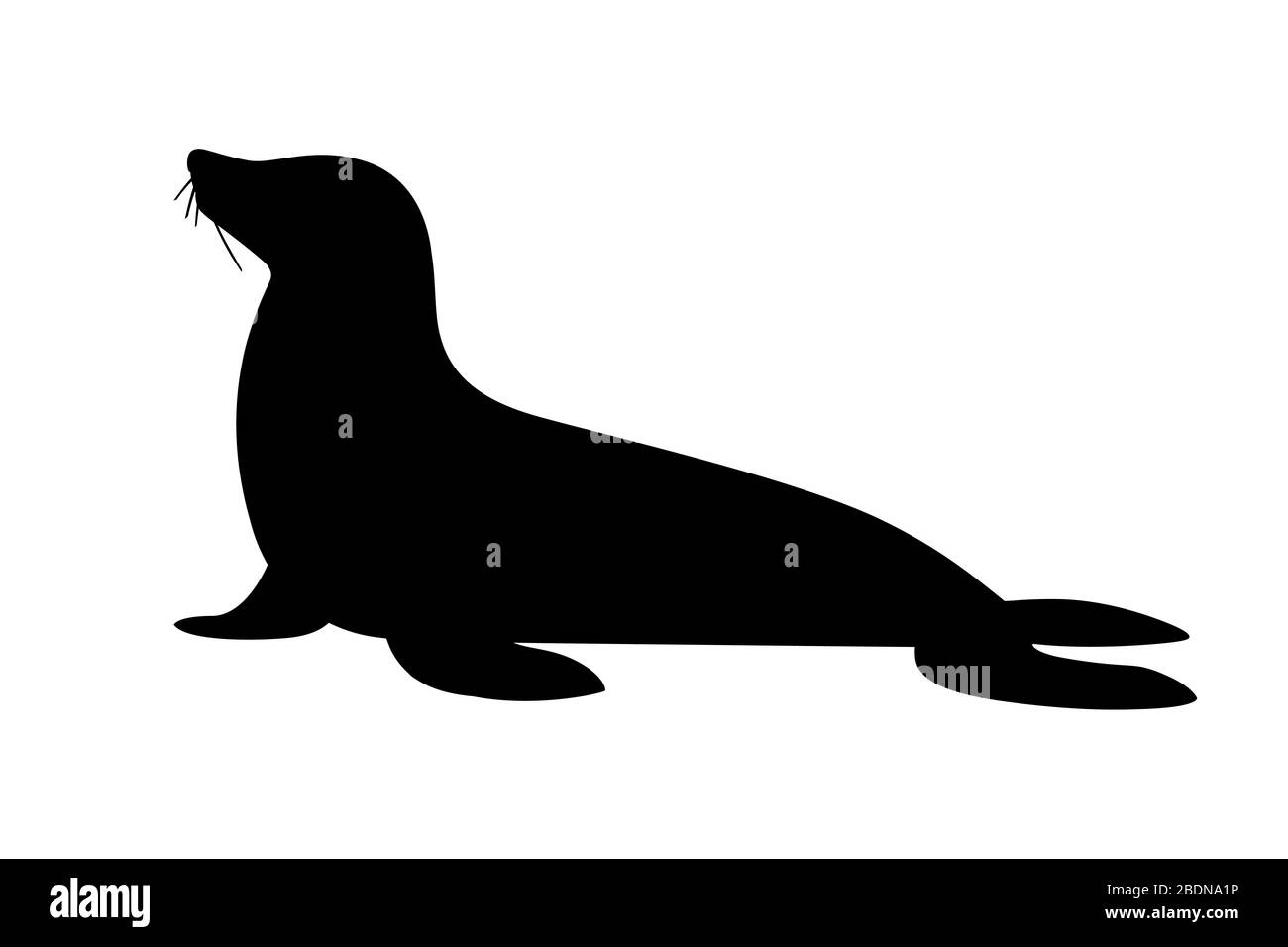 Silhouette Noire Mignon Phoque Dessin Anime Animal Illustration Vectorielle Plate Isolee Sur Fond Blanc Image Vectorielle Stock Alamy