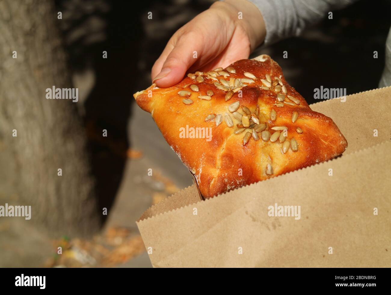 Picking à la main d'une pâte feuilletée dans un sac en papier, concept de sauver la terre avec l'utilisation de sacs non-plastique Banque D'Images