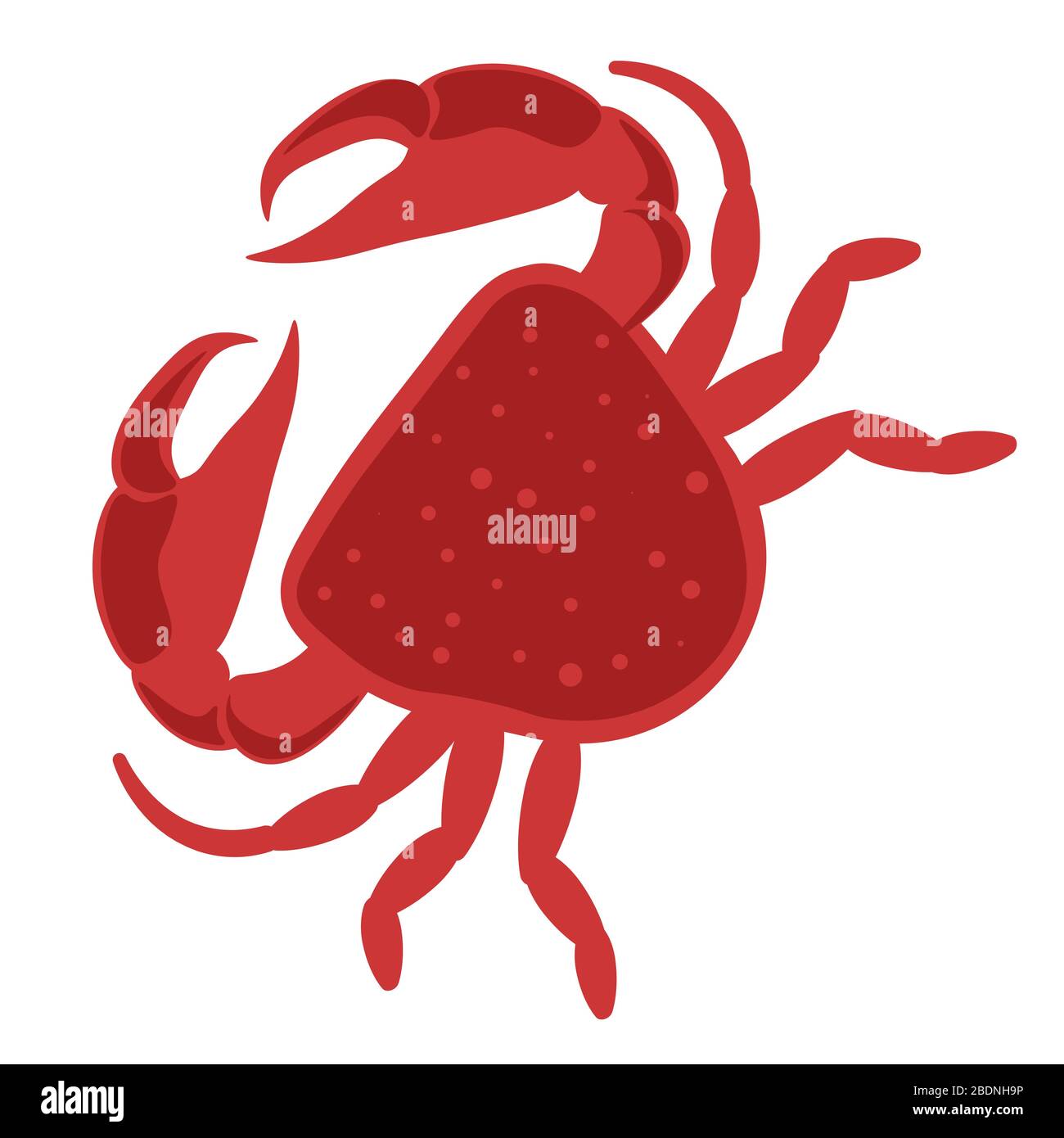 Crabe marin ou habitant de l'océan, vecteur animal marin Illustration de Vecteur