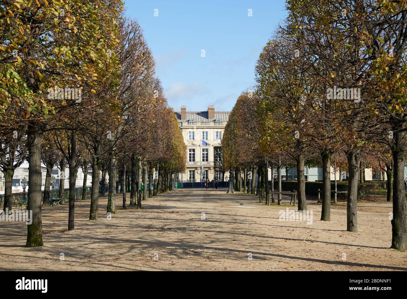 PARIS - 7 NOVEMBRE 2019: Jardin des Tuileries avec des lignes d'arbres dans un automne ensoleillé à Paris, perspective Banque D'Images