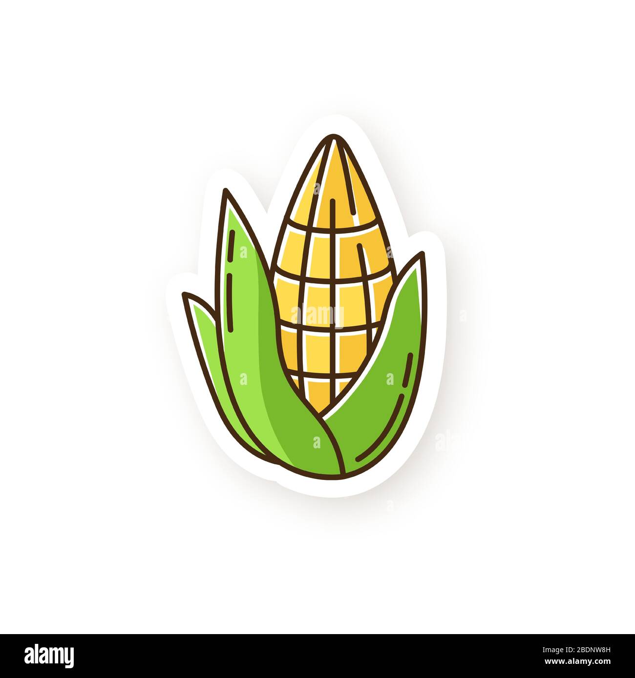 Patch de maïs. Cornba tuyau avec feuille. Maïs sucré. Récolte de céréales de maïs. Agriculture traditionnelle sud-américaine. Culture nationale hispanique. Couleur RVB Illustration de Vecteur