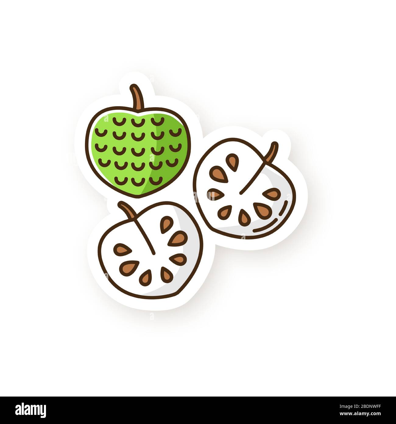 Patch de chérimoya. Une délicieuse pomme de crème anglaise. Annona chérimola. Fruits tropicaux mûrs et doux. Régime végétalien sain. Produit biologique exotique. Couleur RVB imprimable Illustration de Vecteur