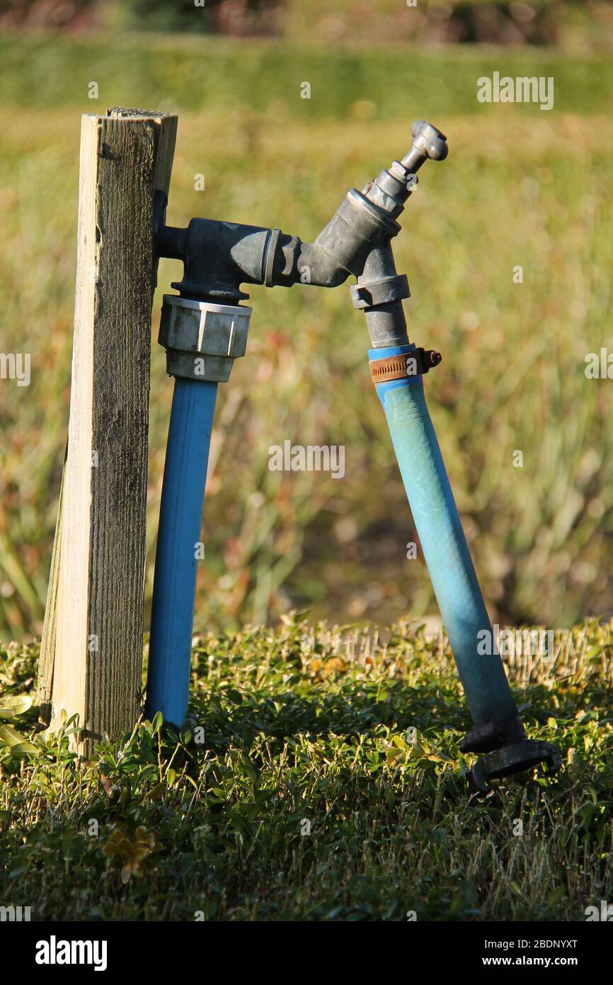 Un robinet d'eau de jardin attaché à un poteau en bois Photo Stock - Alamy
