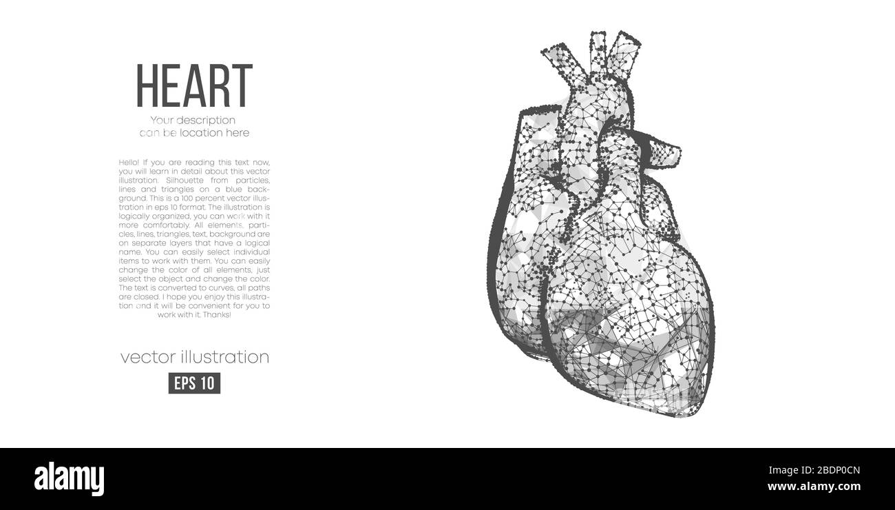 Silhouette abstraite de l'organe polygonal du cœur. Acquisition, recherche et diagnostic du cœur humain Illustration de Vecteur