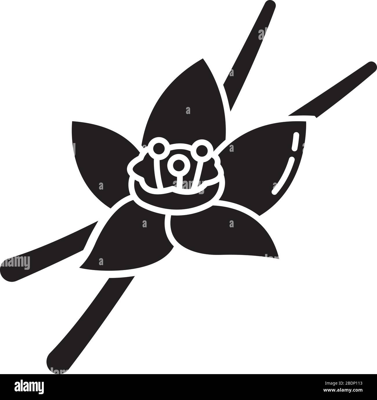 Icône glyphe noir vanille. Fleur aromatique et gousses d'orchidée vanille. Arôme et arôme pour les aliments. Ingrédient sucré de cuisson. Symbole silhouette Illustration de Vecteur