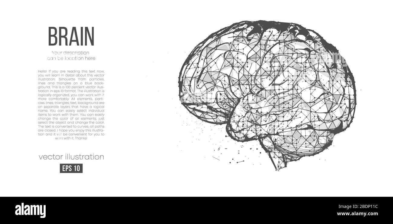 Silhouette abstraite de la tête polygonale, cerveau. Processus de pensée humaine. Recherche et diagnostic du cerveau humain. Illustration de Vecteur