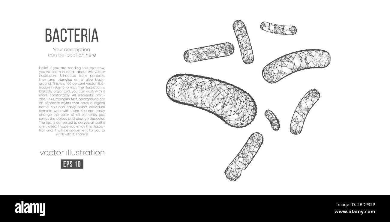 Silhouette abstraite des bactérias polygonales sur fond blanc. Balayage, recherche, étude du monde des bactérias. Illustration de Vecteur