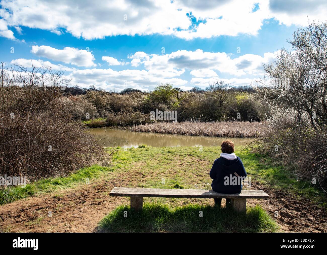 Une dame mûre seule sur Ditchling Common, East Sussex, à l'heure du printemps, en profitant d'un étang sur une journée ensoleillée Banque D'Images