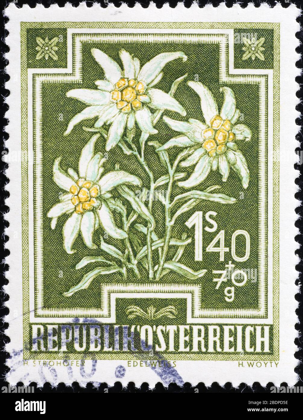 Groupe d'edelweiss sur timbre-poste autrichien Banque D'Images