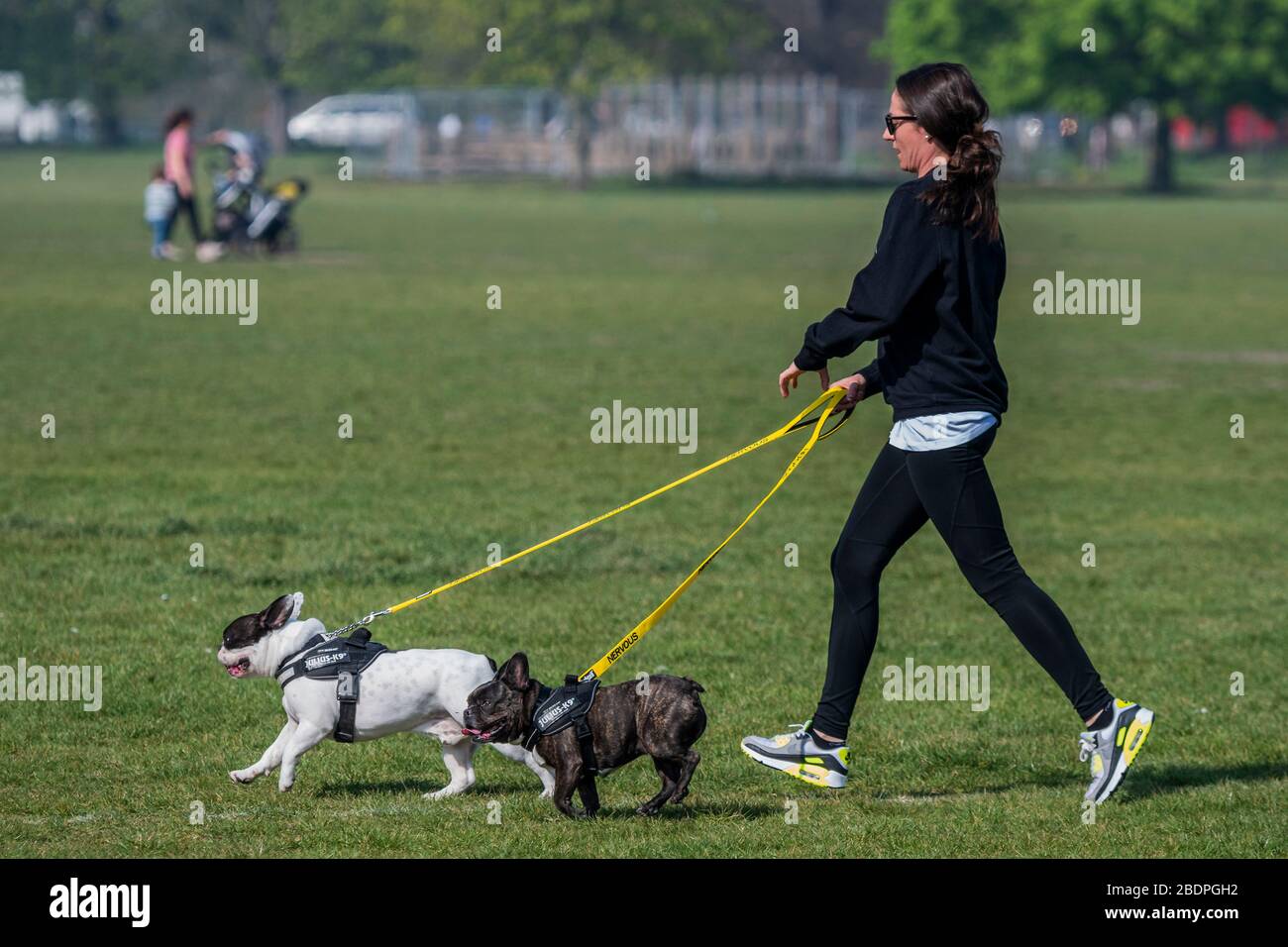 Courir avec leur chien - Clapham Common est assez calme maintenant Lambeth Conseil a enregistré tous les bancs. Le « verrouillage » se poursuit pour l'épidémie de Coronavirus (Covid 19) à Londres. Crédit: Guy Bell/Alay Live News Banque D'Images