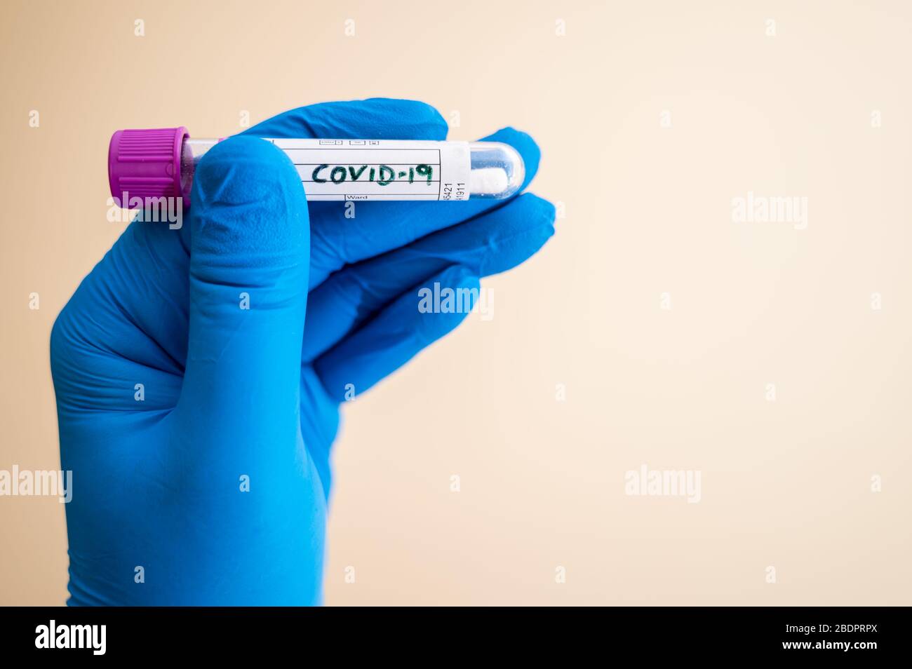 Main de l'agent de santé avec gant bleu tenant un tube-écouvillon pour test COVID-19 de coronavirus. Espace de copie pour le texte Banque D'Images