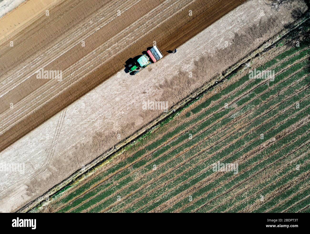 Wuzhong. 9 avril 2020. La photo aérienne prise le 9 avril 2020 montre un tracteur sans pilote avec système de navigation Beidou installé sur un champ de paddy dans une zone de démonstration agricole intelligente dans le village de Tawan, dans le district de Litong, dans la ville de Wuzhong, dans la région autonome de Ningxia hui, au nord-ouest de la Chine. Ces dernières années, l'autorité locale du district de Litong à Wuzhong City a intensifié ses efforts pour développer une agriculture intelligente, afin d'améliorer l'efficacité et de réduire le coût de production. Crédit: Feng Kaihua/Xinhua/Alay Live News Banque D'Images