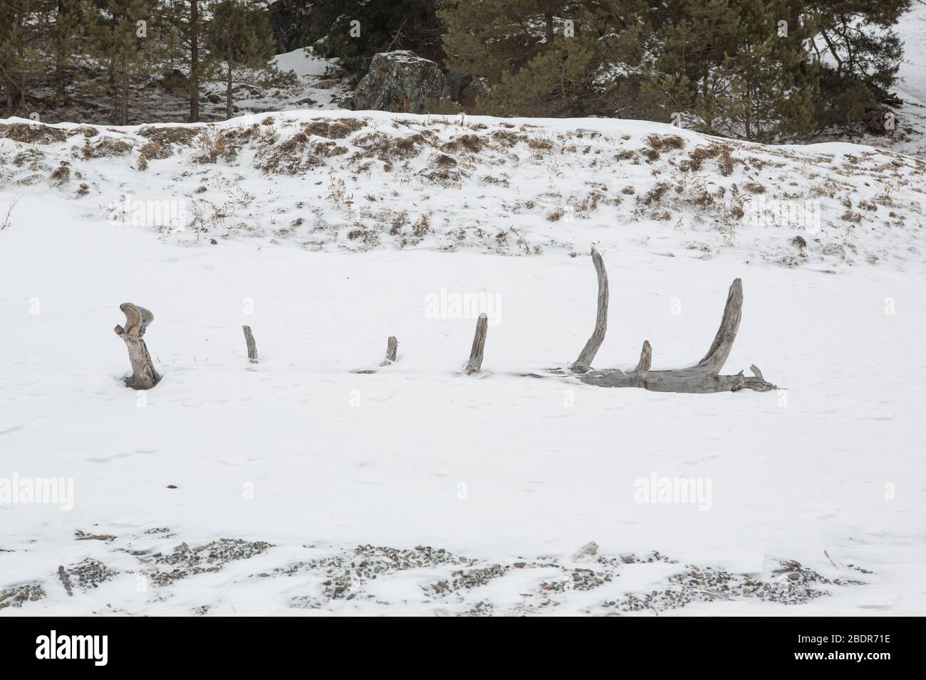 Figure abstraite arbre neige sur la rive d'hiver. Banque D'Images