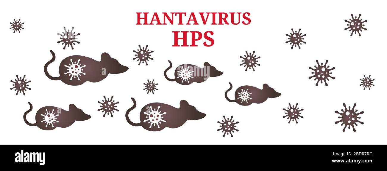 Rats - pathogènes et vecteurs des hantavirus. Modèle abstrait de nouveau hantavirus avec titre. Isolé sur un fond blanc. Illustration vectorielle. Illustration de Vecteur