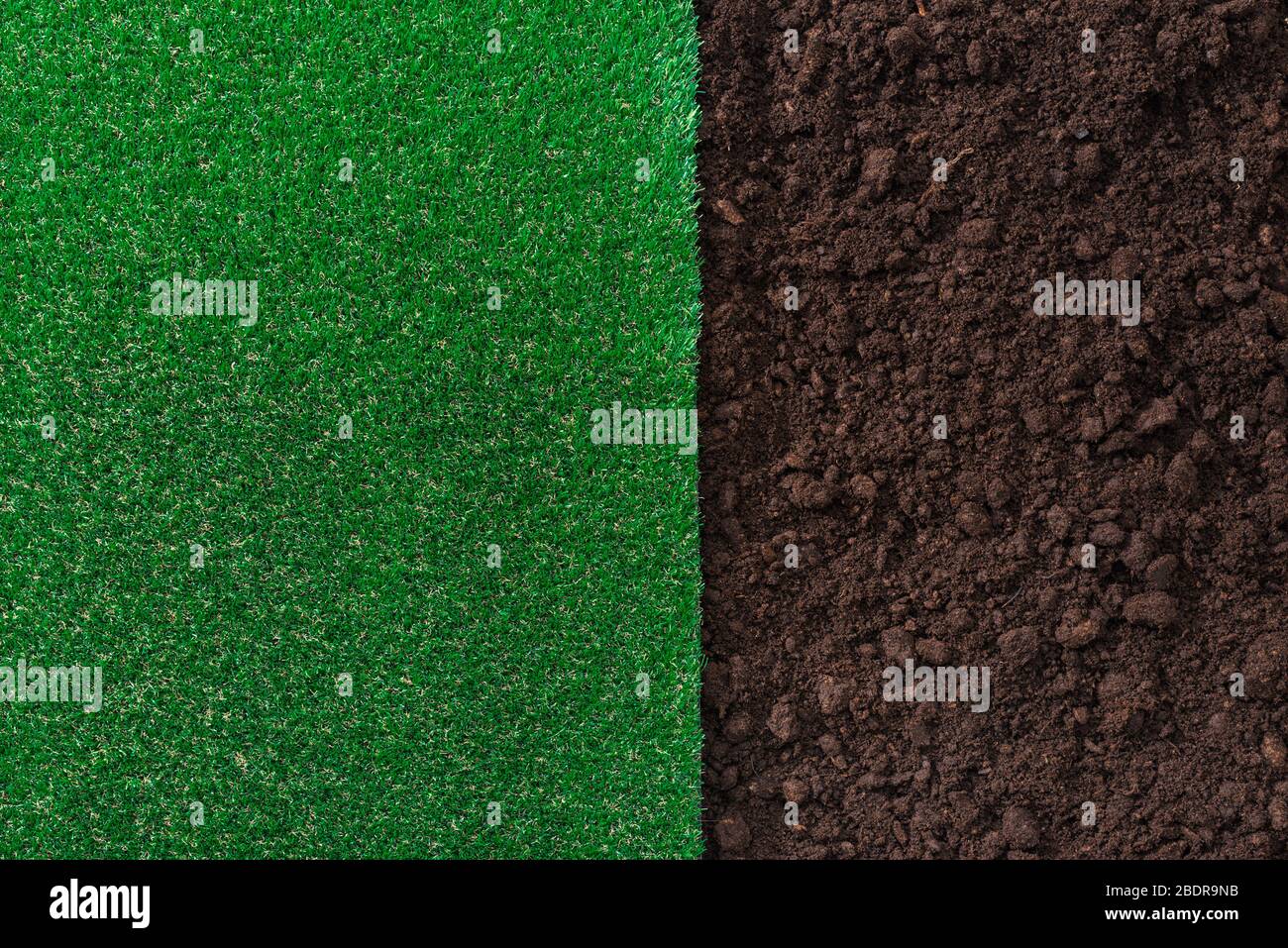 Sol fertile à l'humus et arrière-plan à l'herbe luxuriante, concept de jardinage et d'aménagement paysager Banque D'Images