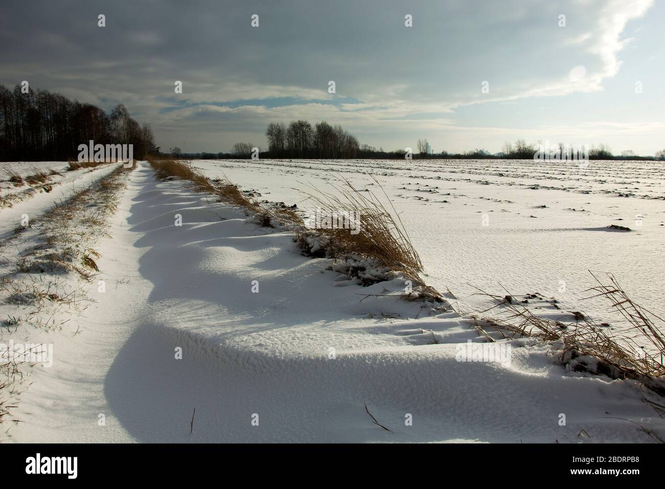 Les chutes de neige sur une route et un champ de terre, ciel nuageux, vue d'hiver Banque D'Images