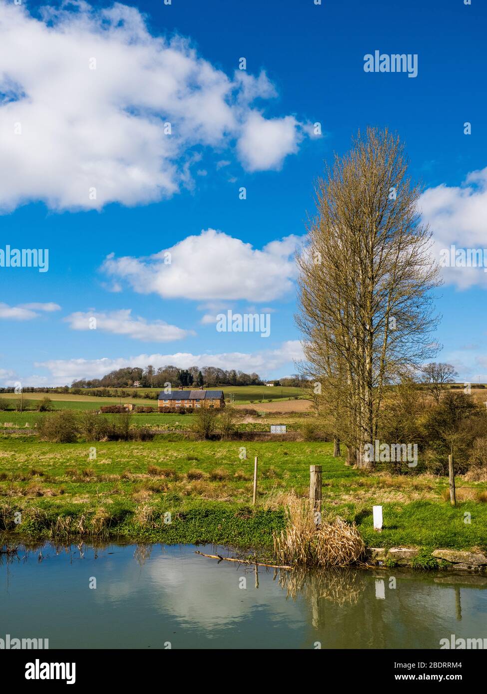North Wessex Downs Landscape, Great Bedwyn, Wiltshire, Angleterre, Royaume-Uni, GB. Banque D'Images