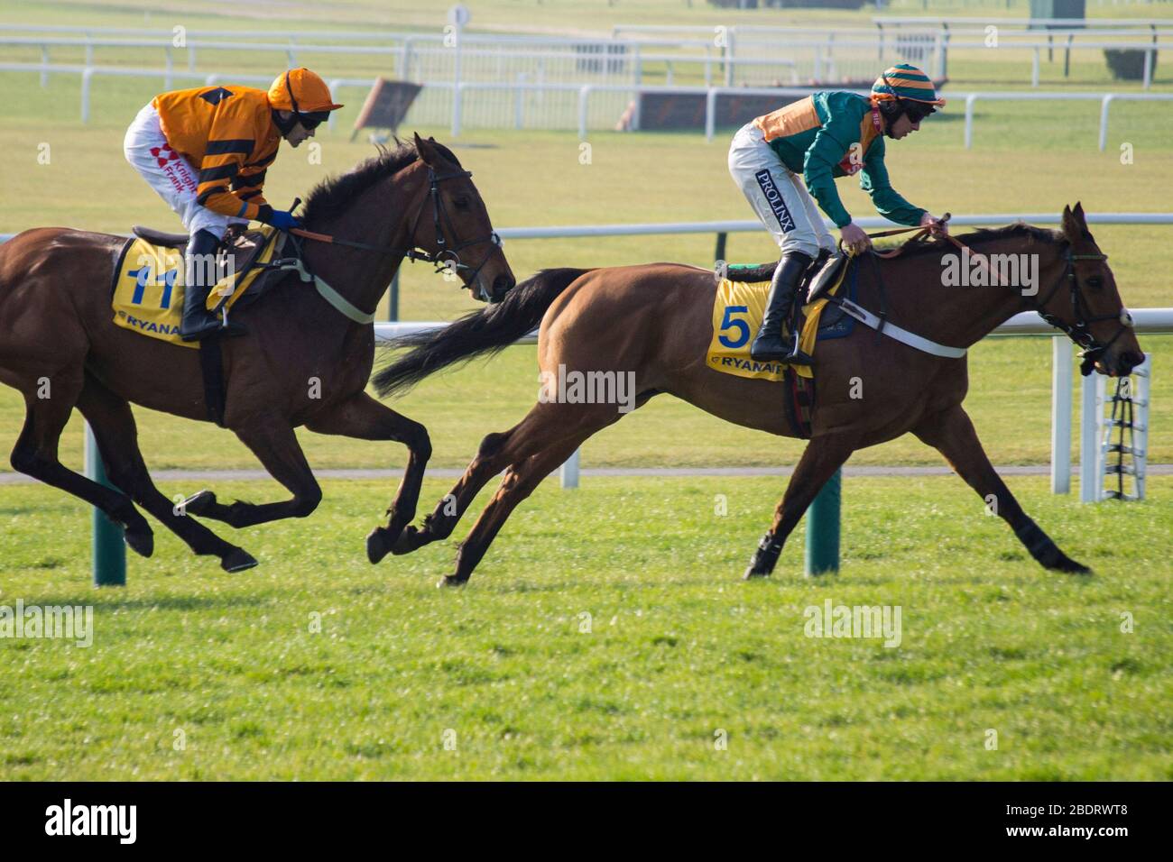 Course action à l'hippodrome de Cheltenham pendant le Cheltenham Race Festival 2016. Lewis Mitchell Banque D'Images