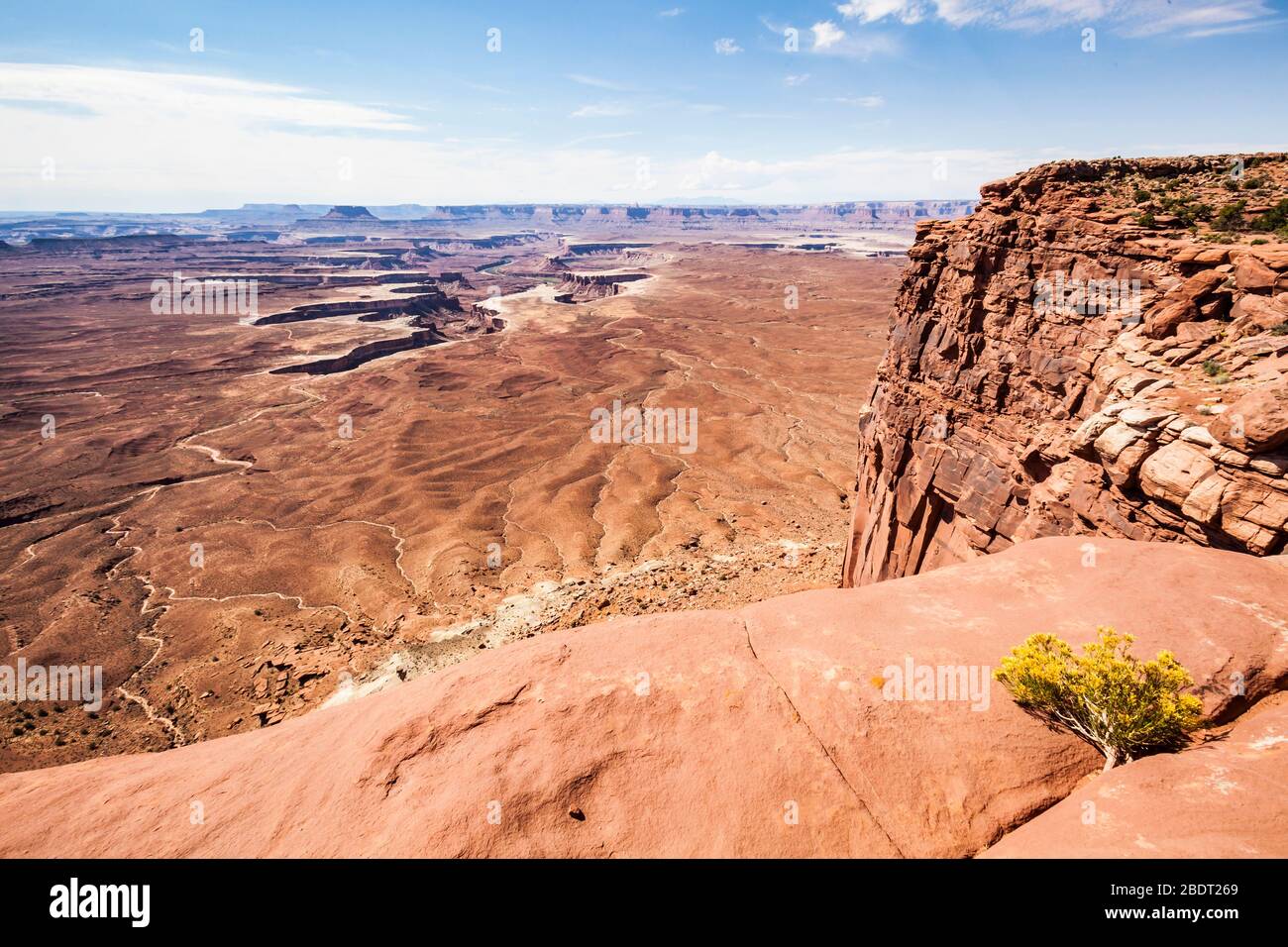 Vue sur la rivière verte dans le parc national de Canyonlands, île dans le quartier Sky, Utah, États-Unis. Banque D'Images