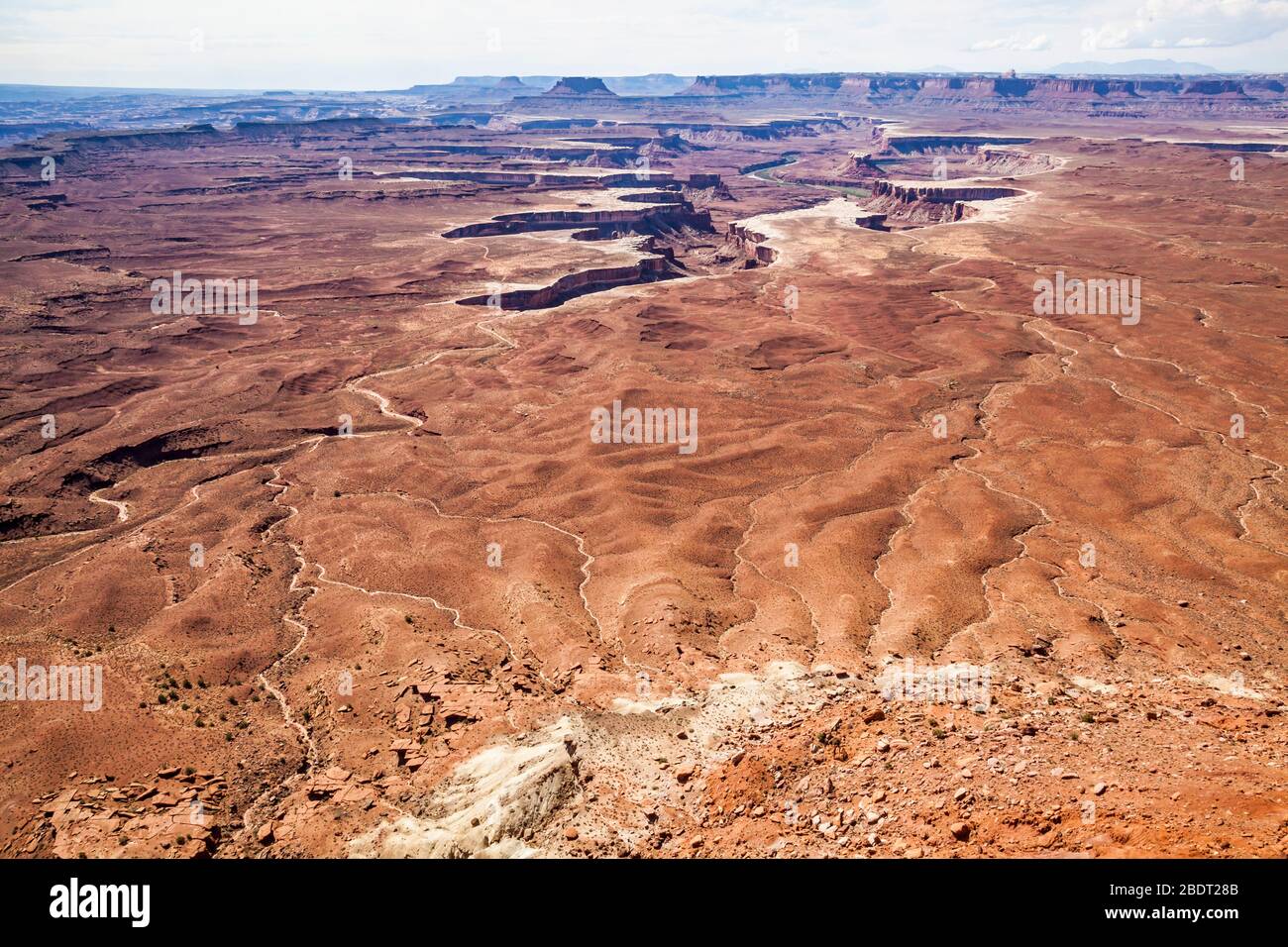 Vue sur la rivière verte dans le parc national de Canyonlands, île dans le quartier Sky, Utah, États-Unis. Banque D'Images