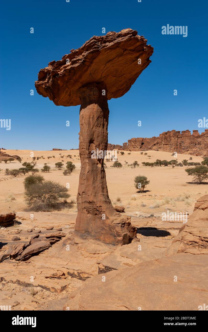 Tours en grès sous forme de champignons dans le désert Ennedi du Tchad, en Afrique Banque D'Images