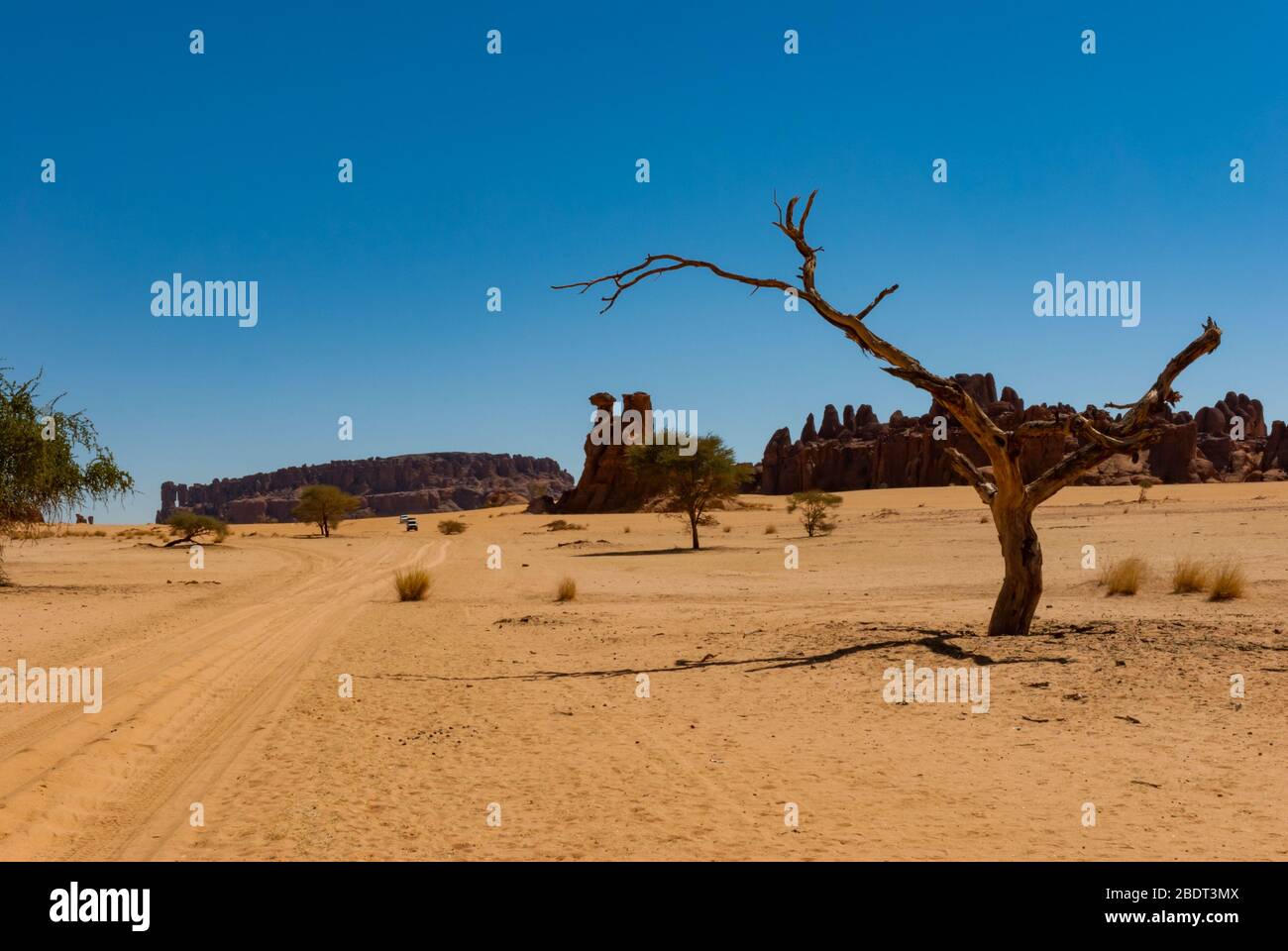 Formation de roches et végétation du désert, dessert du Sahara, Tchad, Afrique Banque D'Images