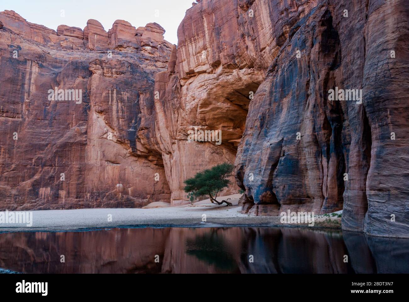 Le trou d'eau Guelta d'Archei près d'oasis, plateau Ennedi, Tchad, Afrique Banque D'Images