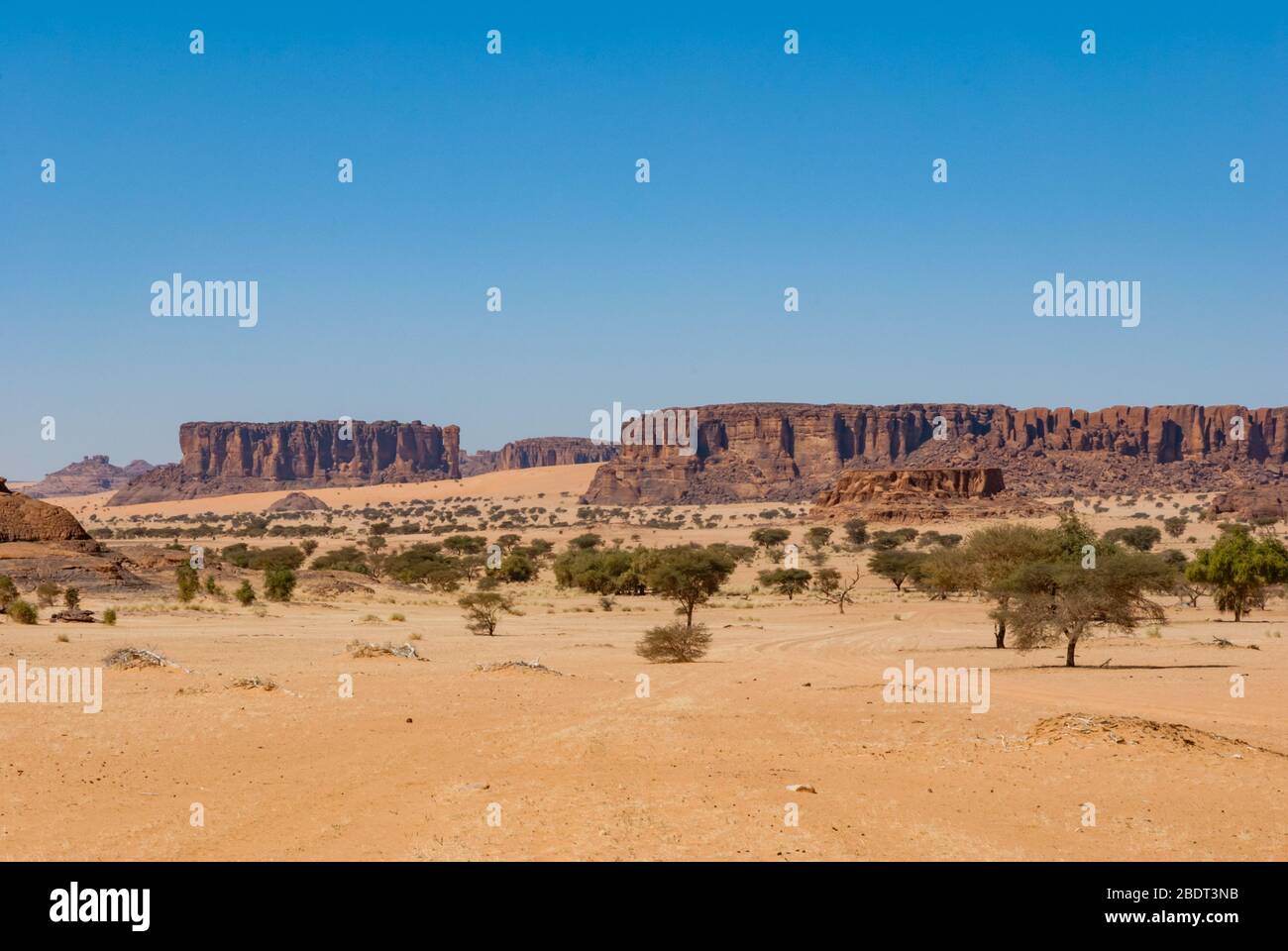 Formation de roches et végétation du désert, dessert du Sahara, Tchad, Afrique Banque D'Images