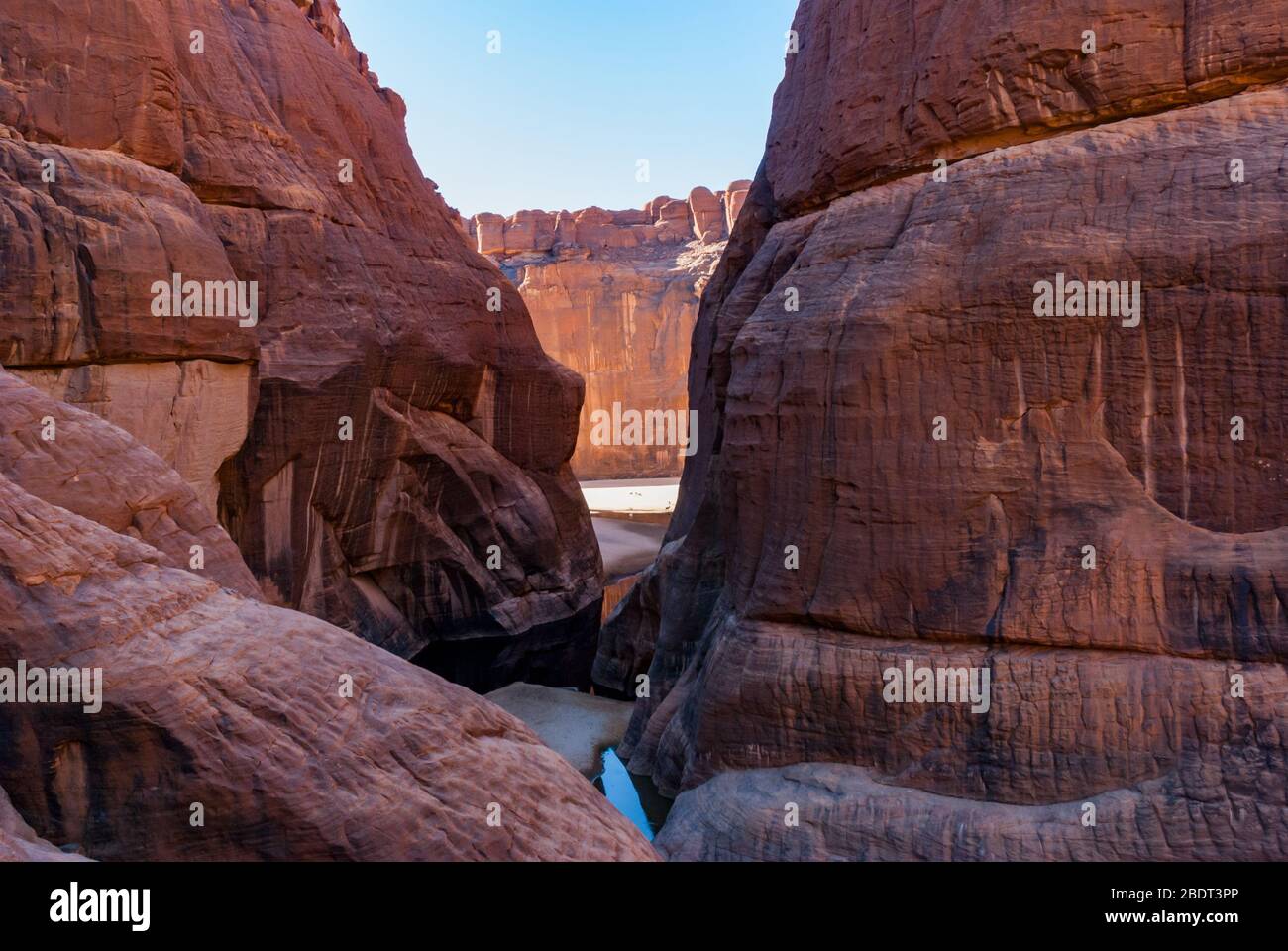 Le trou d'eau Guelta d'Archei près d'oasis, plateau Ennedi, Tchad, Afrique Banque D'Images