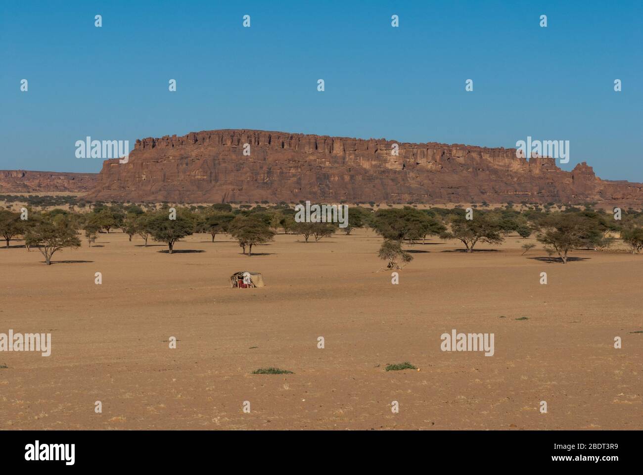 Formations rocheuses naturelles, arbres et petite cabane de nomades, plateau Ennedi au Sahara dessert, Tchad, Afrique Banque D'Images