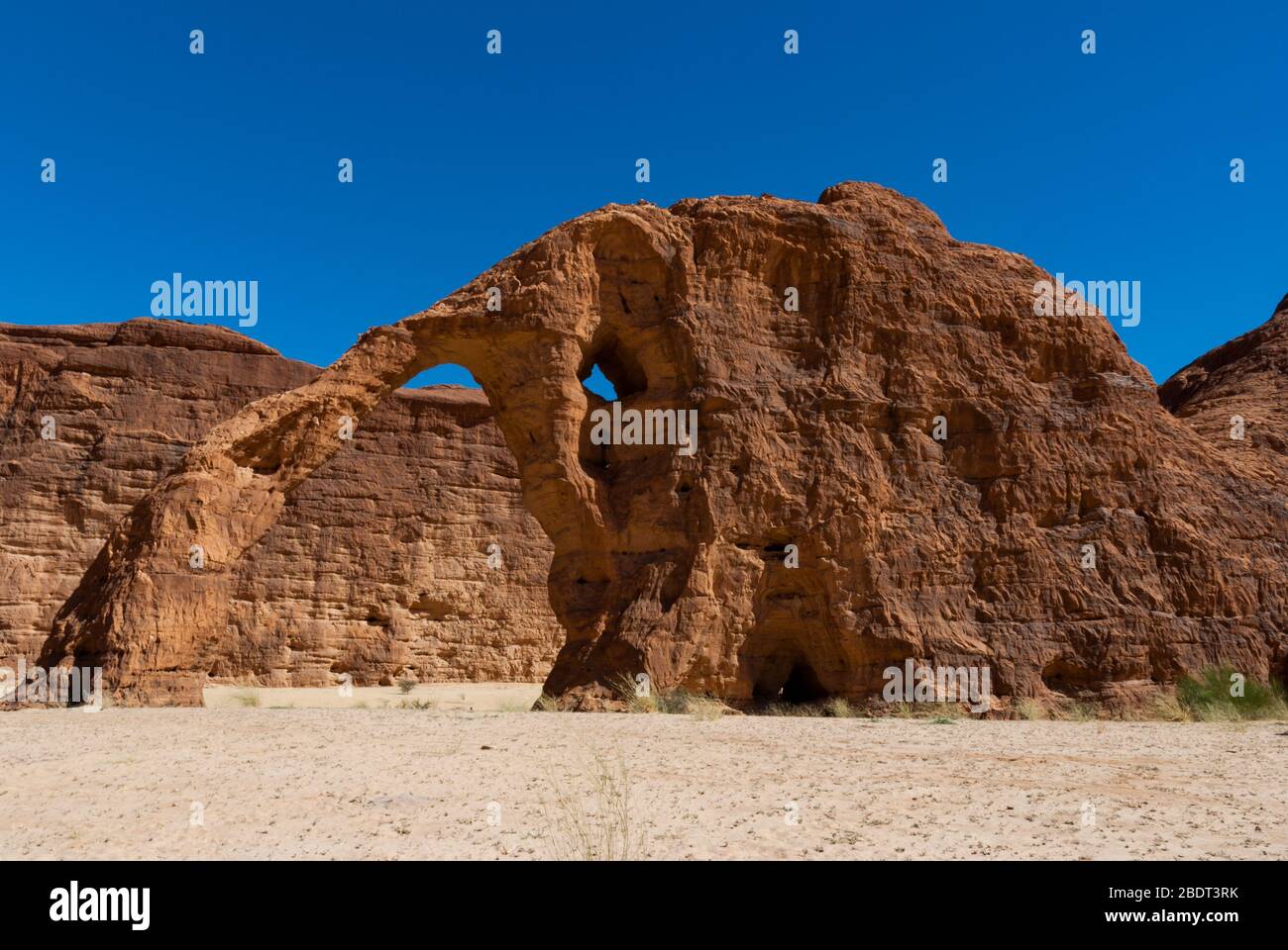Formation naturelle de roches en forme d'éléphant, plateau Ennedi au Sahara dessert, Tchad, Afrique Banque D'Images