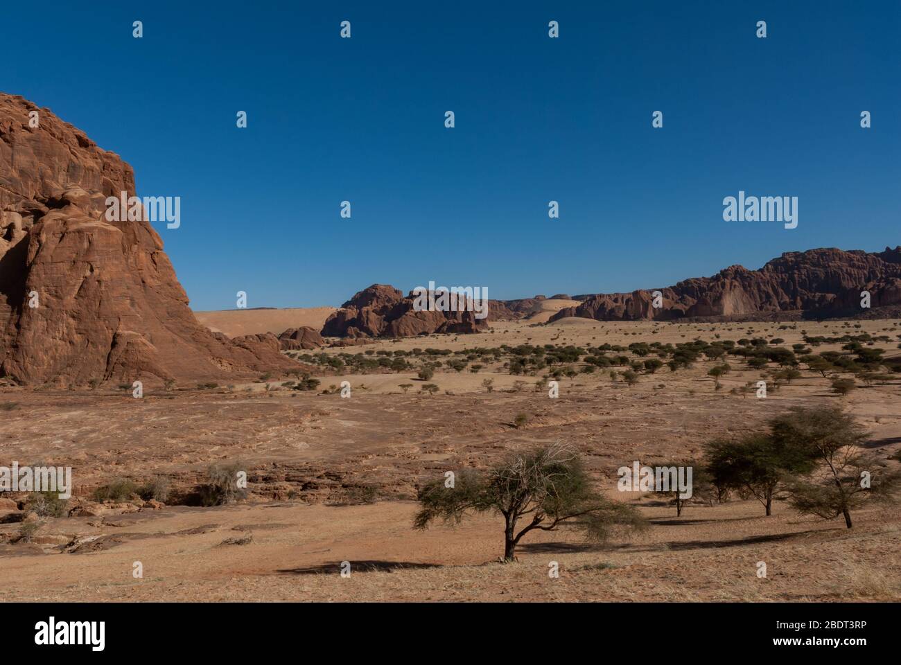 Formations rocheuses naturelles et arbres, plateau Ennedi au Sahara dessert, Tchad, Afrique Banque D'Images