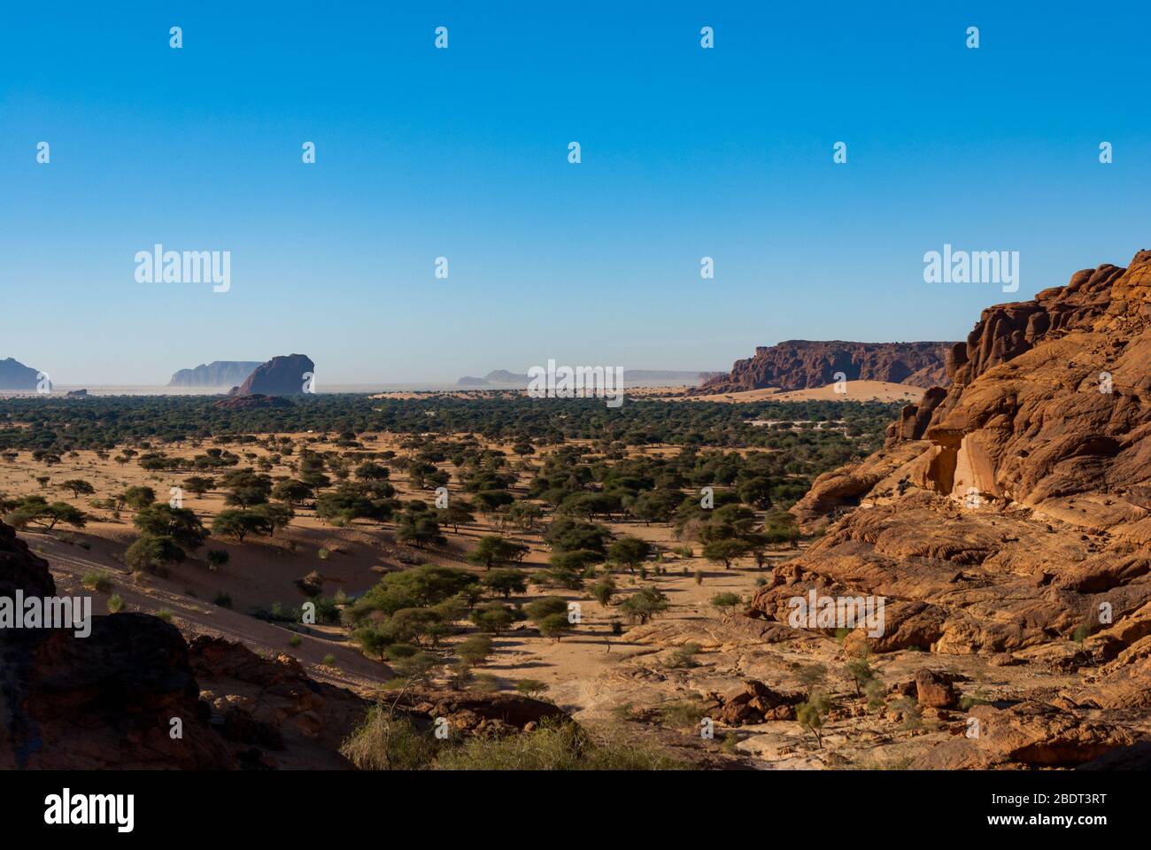 Ennedi plateau du Sahara dessert du Tchad. Végétation du désert, et formation de roches. Banque D'Images
