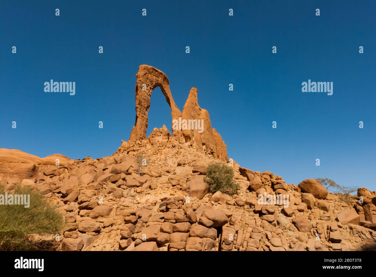 Formation de roches abstraites en forme de lyre sur le plateau Ennedi, dans le désert du Sahara, Tchad, Adrica Banque D'Images