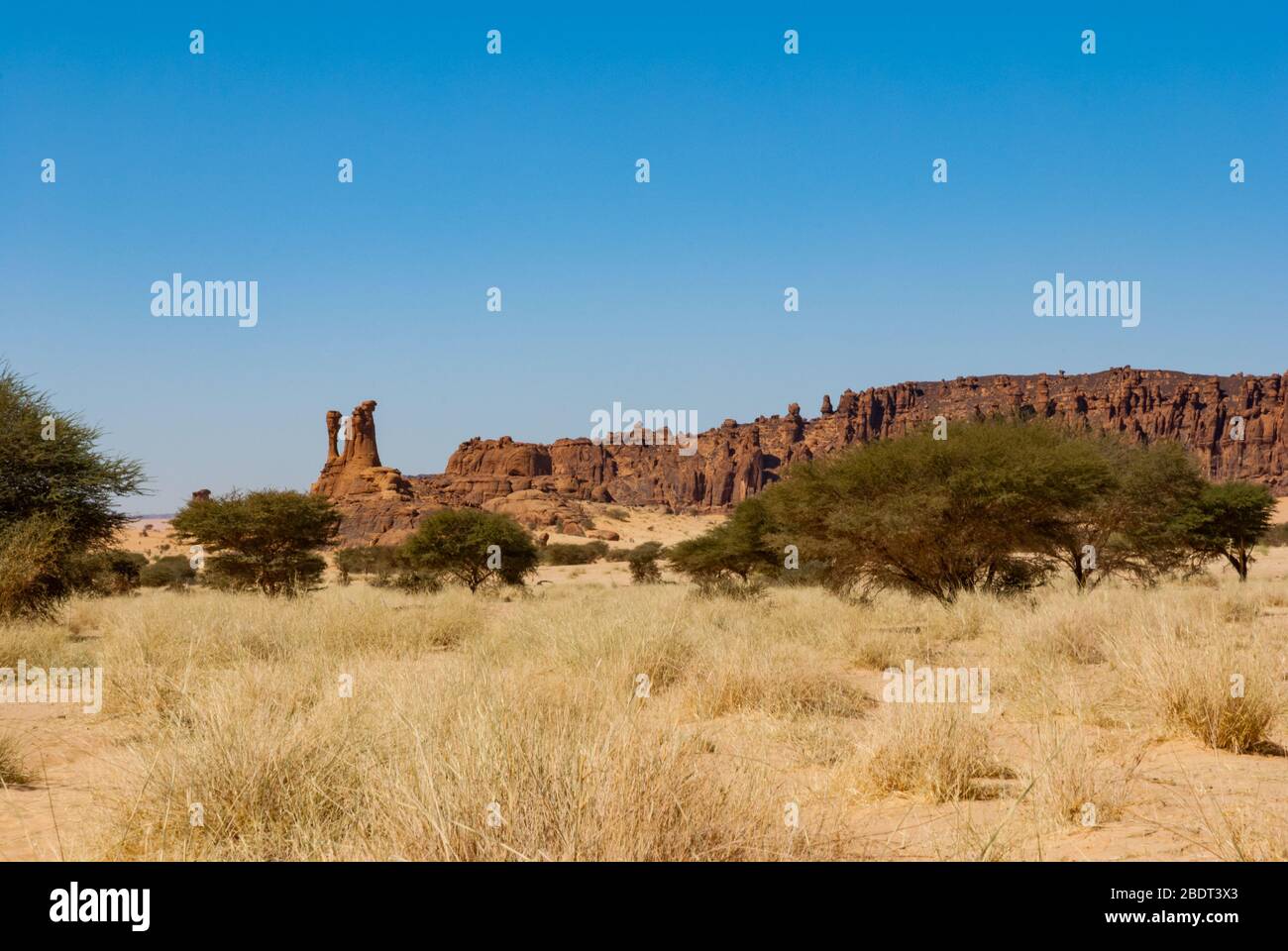 Formation naturelle de roches et végétation du désert - herbe sèche et arbres bas, désert du Sahara, Tchad, Afrique Banque D'Images