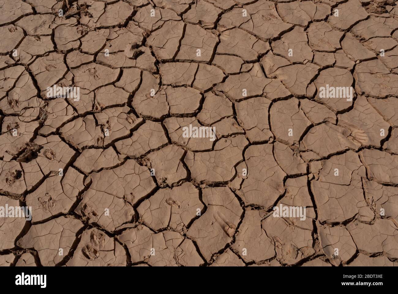 Désert sec et craquelé, Tchad. Afrique Banque D'Images