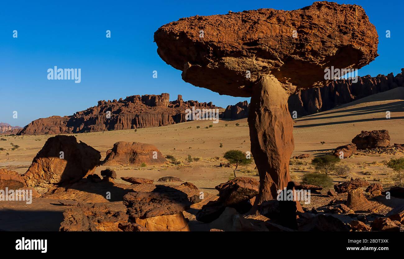 Tours en grès sous forme de champignons dans le désert Ennedi du Tchad, en Afrique Banque D'Images