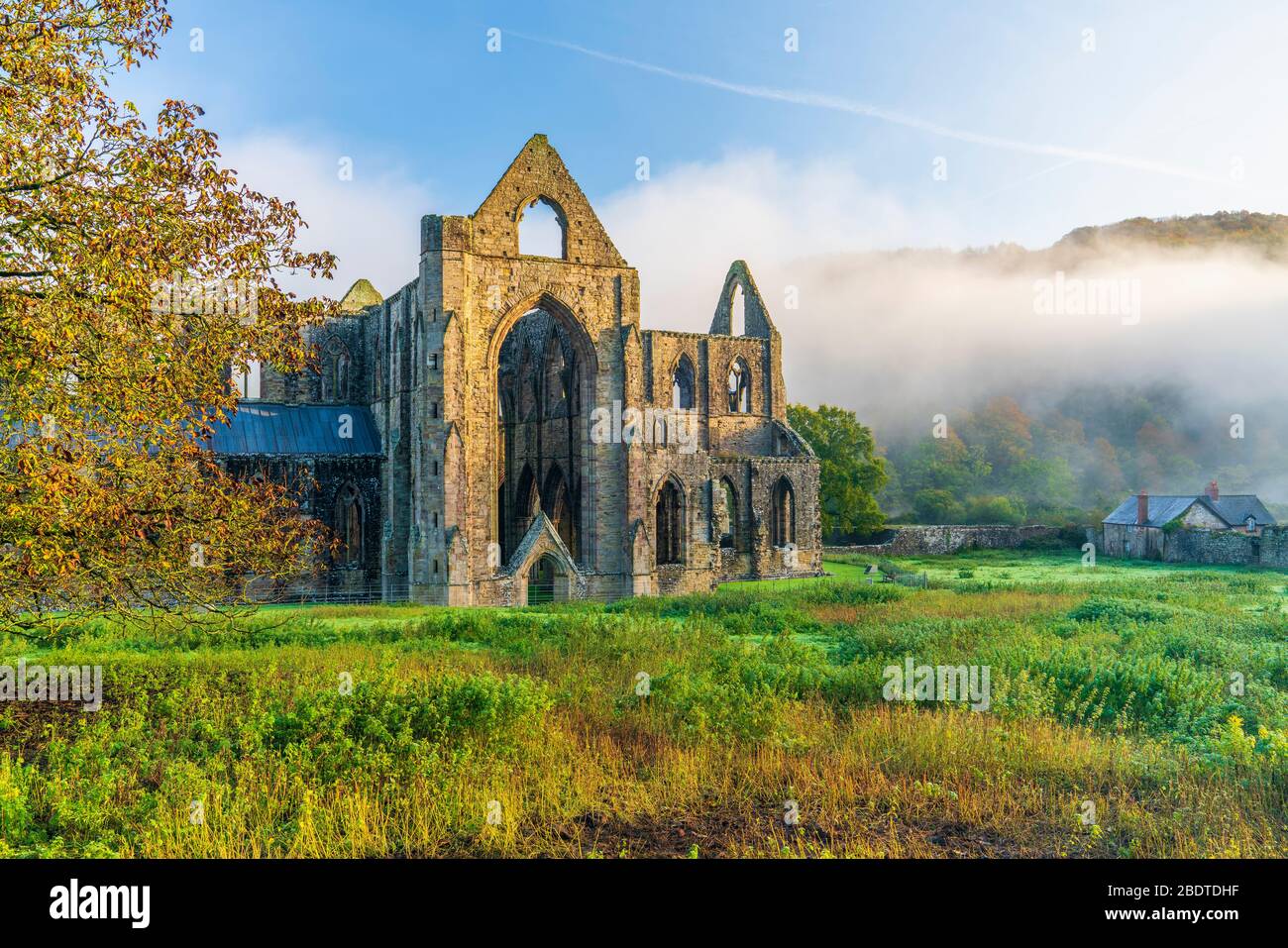 Les ruines de l'abbaye cistercienne du XIIe siècle de Tintern, dans la vallée de Wye, au Pays de Galles, au Royaume-Uni, en Europe Banque D'Images