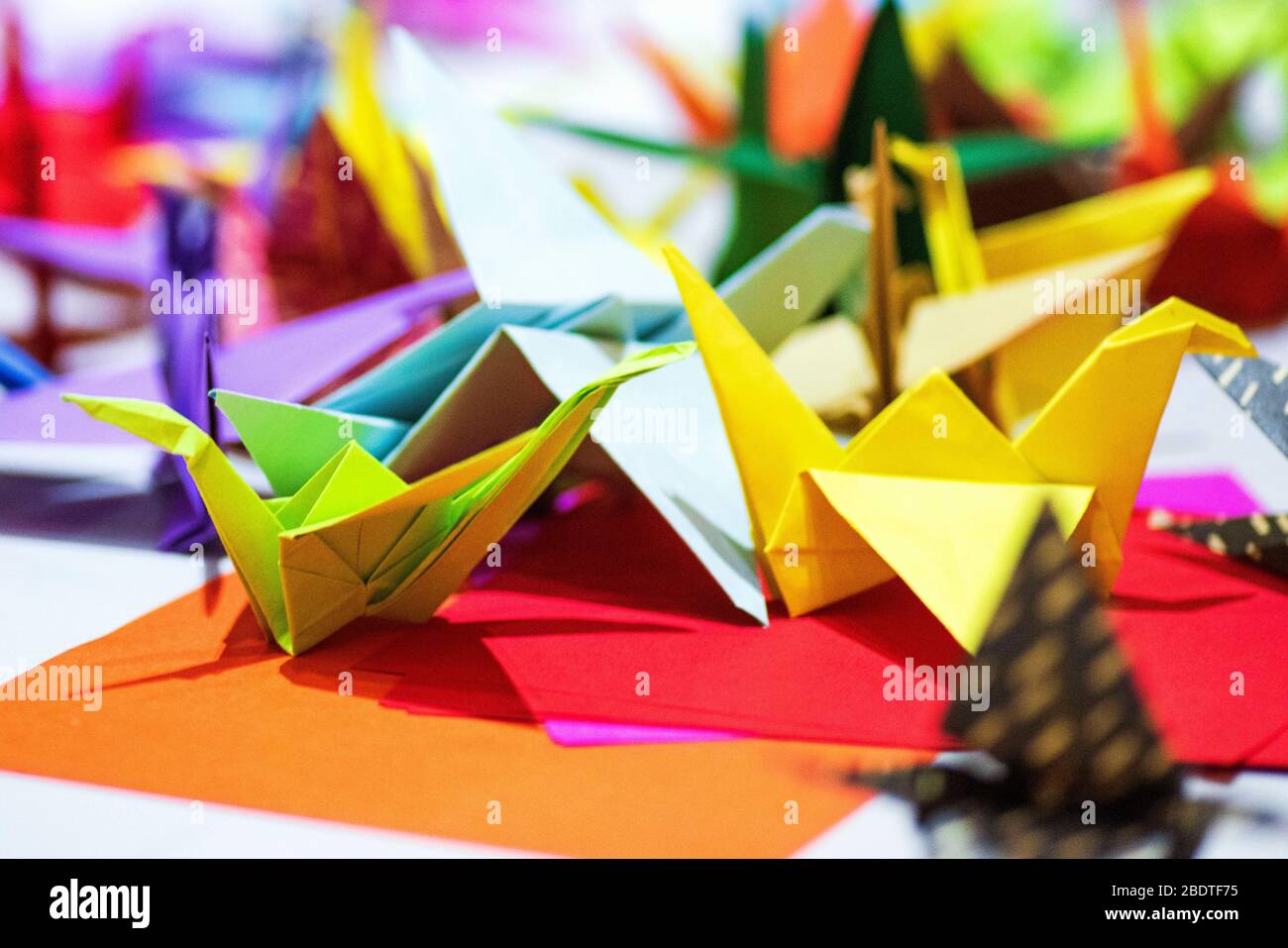Arigami simple et facile.Aigami multicolore, cygnes en papier, oiseaux. Beaucoup d'arigami multicolore. Banque D'Images