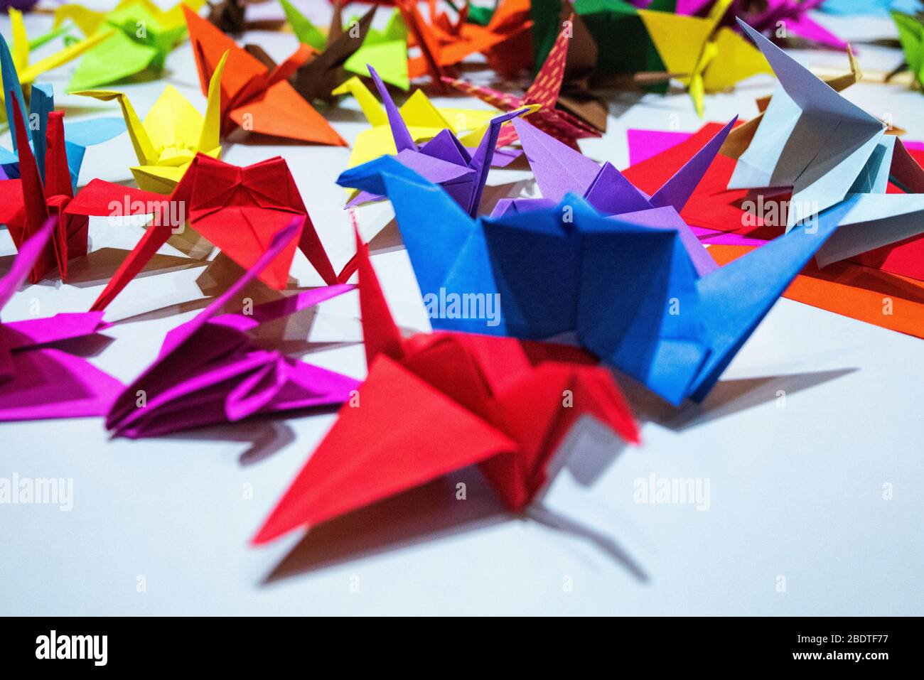 Aigami multicolore, cygnes en papier, oiseaux. Beaucoup d'arigami multicolore. Arigami simple et facile. Banque D'Images